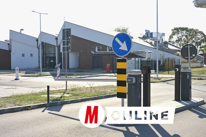 Molnár Edvárd felvétele