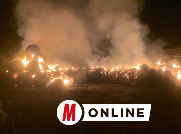 Az egész éves munka pillanatok alatt a tűz martalékává vált