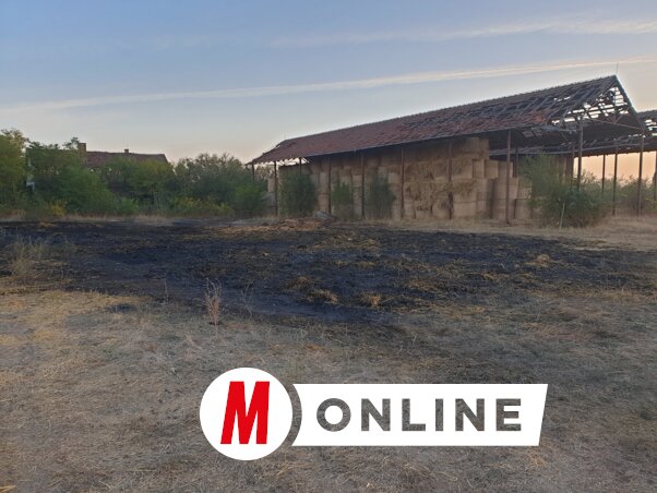 A koromfekete talajon néhány napja hegyekben tornyosultak a körbálák