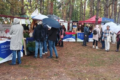 Az idei GastroFesten a Vajdasági Rohonczy Gedeon Mentorprogram résztvevői saját standokkal mutatkoztak be/Kancsár Izabella