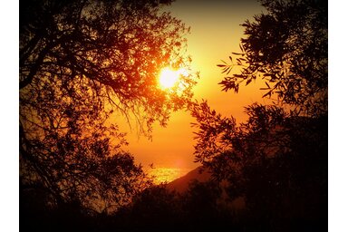 Pixabay