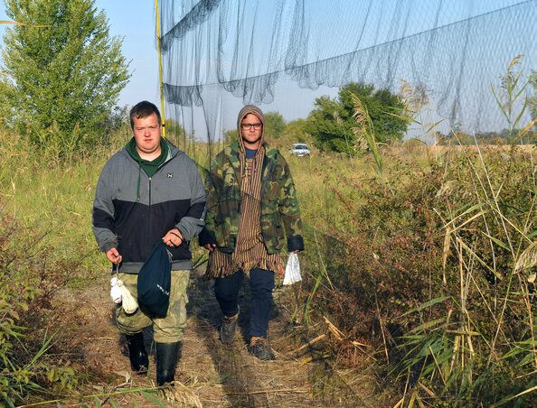 A hálókból kiszabadított madarakat vászonzacskókban szállítják