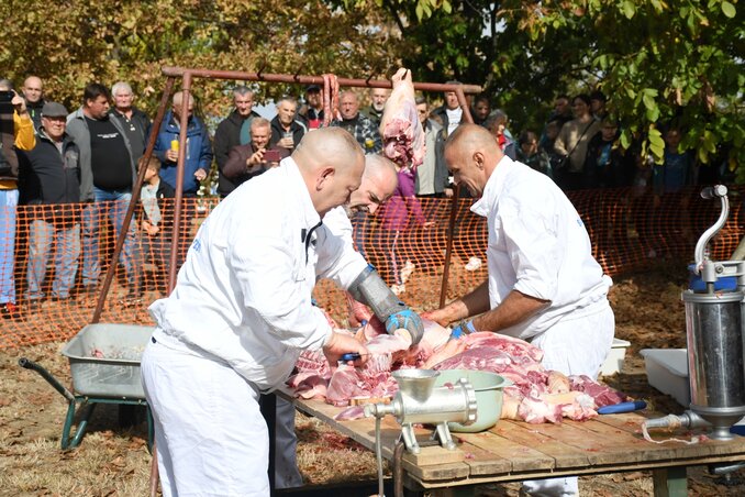 A gyors disznóvágásra idén négy csapat jelentkezett. Négy perc alatt szétszedték a 150 kilogrammos hízót.