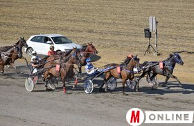 99. Szerb Ügetőderbi Adán