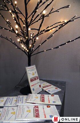 A Jó Pajtás fogalmazás- és versíró pályázatának díjátadó ünnepsége a Magyar Szó-házban