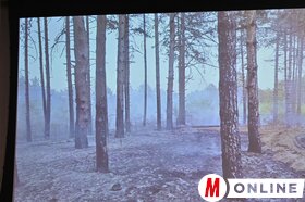 A STOP FIRES határon átnyúló projekt zárókonferenciája Újvidéken