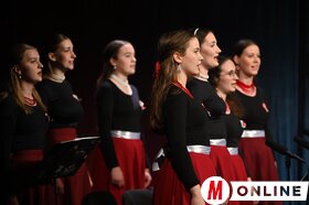 A Vajdasági Magyar Szövetség központi megemlékezése Szabadkán