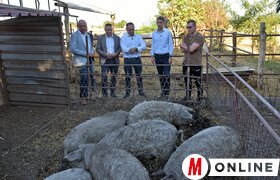 Ada községbe látogatott a VMSZ köztársasági választási listájának küldöttsége