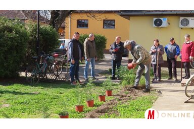 Kiss Zoltán felvétele