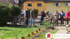 Kiss Zoltán felvétele