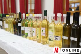 Jégtörő Mátyás-napi újbor verseny Bácsfeketehegyen