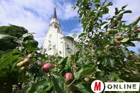 nemzeti összetartozas almafa Királyhalma