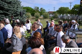 nemzeti összetartozas almafa Királyhalma