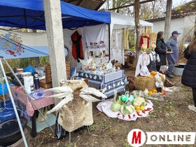 Libanapok Tiszaszentmiklóson