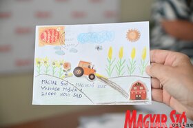 Magvető nyereményjáték