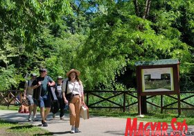 Majális az újvidéki Kamenicai parkban
