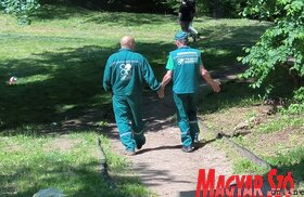 Majális az újvidéki Kamenicai parkban