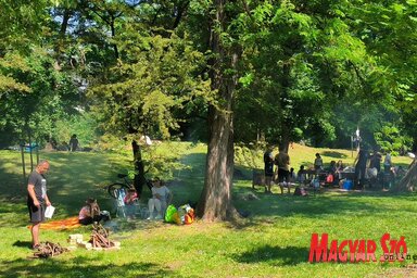 Majális az újvidéki Kamenicai parkban