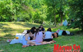 Majális az újvidéki Kamenicai parkban