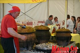 Majális másnapja Palicson