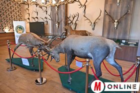 Maja Gojković és dr. Juhász Bálint látogatása a Vajdasági Vadászszövetség múzeumában Újvidéken