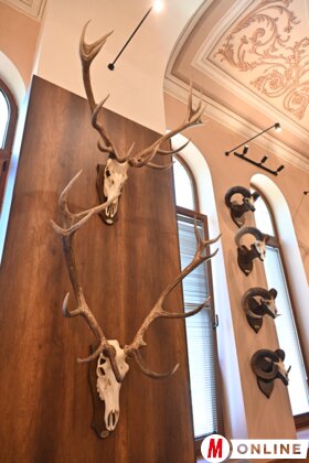 Maja Gojković és dr. Juhász Bálint látogatása a Vajdasági Vadászszövetség múzeumában Újvidéken