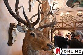 Maja Gojković és dr. Juhász Bálint látogatása a Vajdasági Vadászszövetség múzeumában Újvidéken