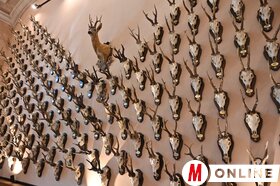 Maja Gojković és dr. Juhász Bálint látogatása a Vajdasági Vadászszövetség múzeumában Újvidéken