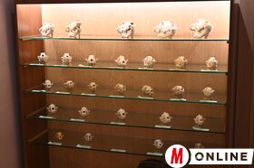 Maja Gojković és dr. Juhász Bálint látogatása a Vajdasági Vadászszövetség múzeumában Újvidéken