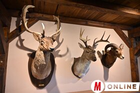 Maja Gojković és dr. Juhász Bálint látogatása a Vajdasági Vadászszövetség múzeumában Újvidéken