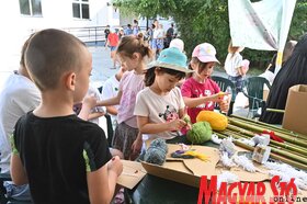 Nyári tábor az újvidéki Petőfi Sándor Magyar Művelődési Központban