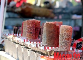 Pillanatképek a palicsi majálisról