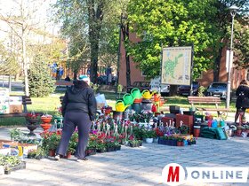 Virágpiac Topolya Tavasz