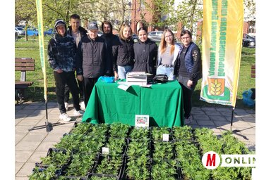 Virágpiac Topolya Tavasz