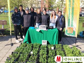 Virágpiac Topolya Tavasz