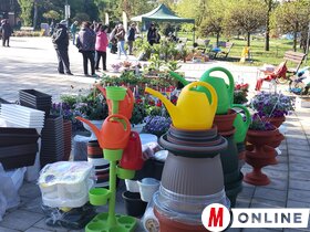 Virágpiac Topolya Tavasz