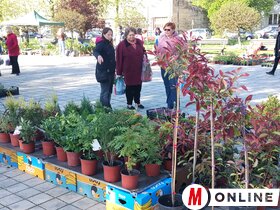 Virágpiac Topolya Tavasz