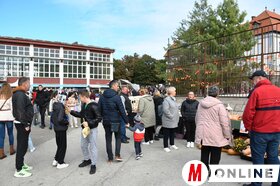 XI. Töknapok Kúlán