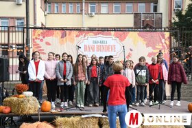 XI. Töknapok Kúlán