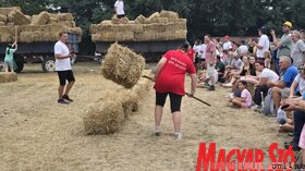 XIV. Vajdasági Parasztolimpia Topolyán