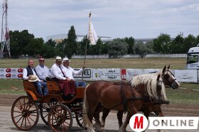 14. Vajdasági Vágta