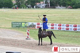 14. Vajdasági Vágta