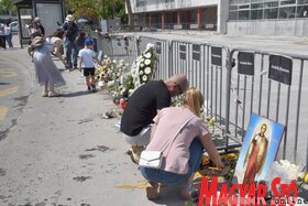 Majális újvidék