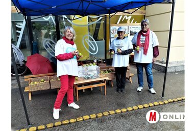 A  Rotaris hölgyek tavalyi akciója (Fotó: Horváth Zsolt felvétele)