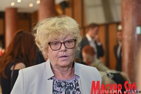 A médiatörvények újvidéki nyilvános közvitája