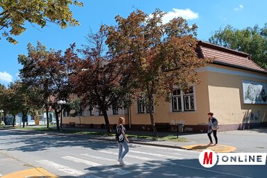 Kazinczy Paszterkó Diana felvétele felvétele