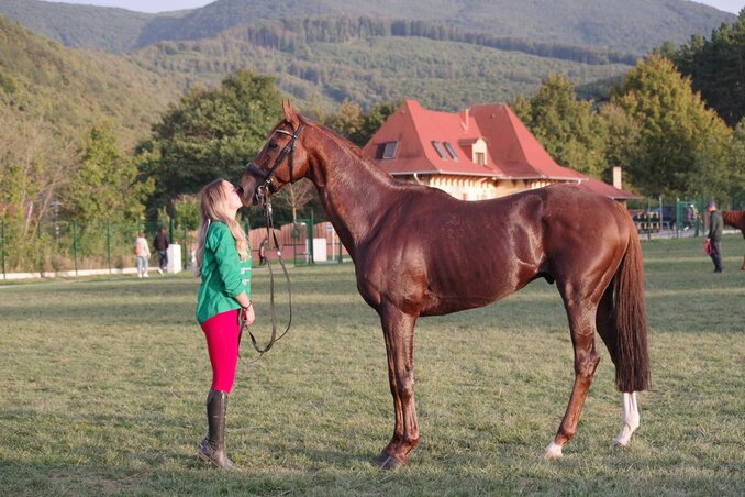 A ló és lovas viszonya a kölcsönös bizalomra épül (Boros Csaba felvétele)