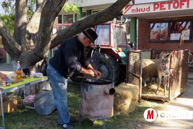 Egyre kevesebb a jószág  (Fotó: Kecskés István felvétele)