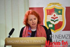 A médiastratégia közvitája Szabadkán