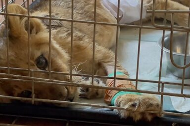 printscreen/Facebook/Subotica.com